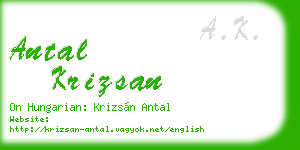 antal krizsan business card